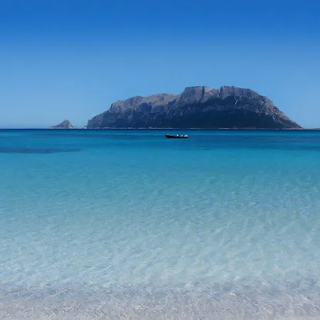 Attico Al Primo Piano Quadrilocale, Pittulongu Hébergement de vacances Olbia